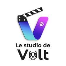 Le studio de Volt marmignon brothers